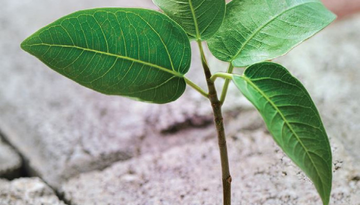 Join our Resilience and Renewal Campaign